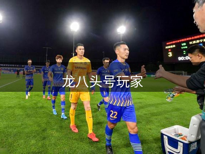 龙八头号玩家简介